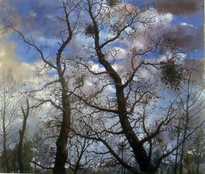 Chester Arnold Partial Clearing