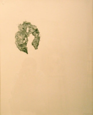 Valerie Demianchuk, 'Untitled (Cactus),' 2001
