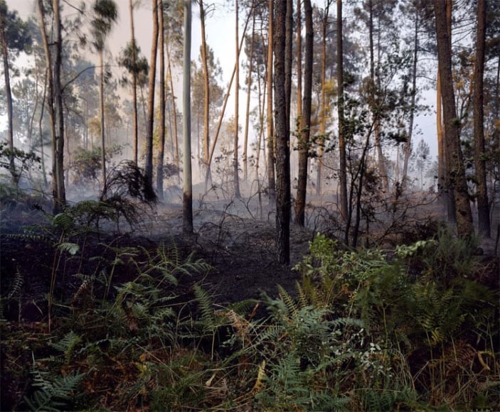 UNTITLED, FROM THE SERIES &#039;DYSTOPIA&#039;, 2005, C-type print