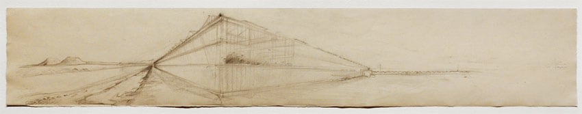 HYDROPONIC TOMATO PLANT BETWEEN MARFA AND FORT JARVIS, 1999, Graphite on grey/tan paper