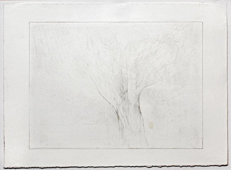UNTITLED, 2007, Graphite on paper