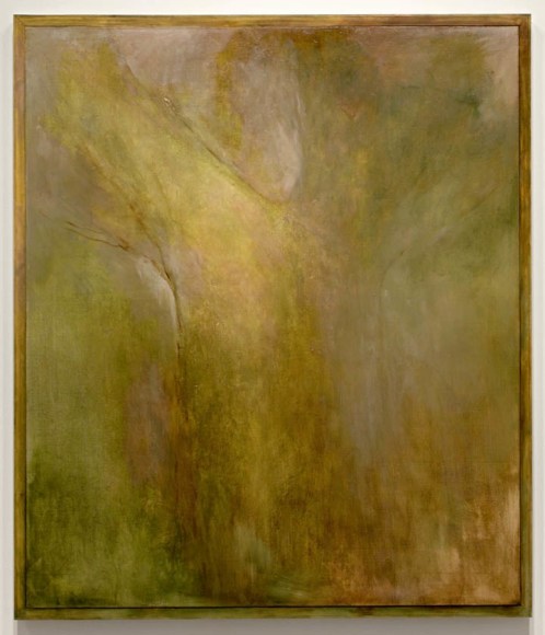 Image of Ashton's Oak