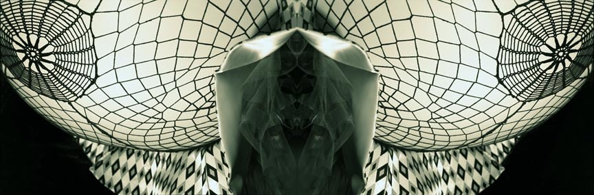 photograph by Nancy Davidson