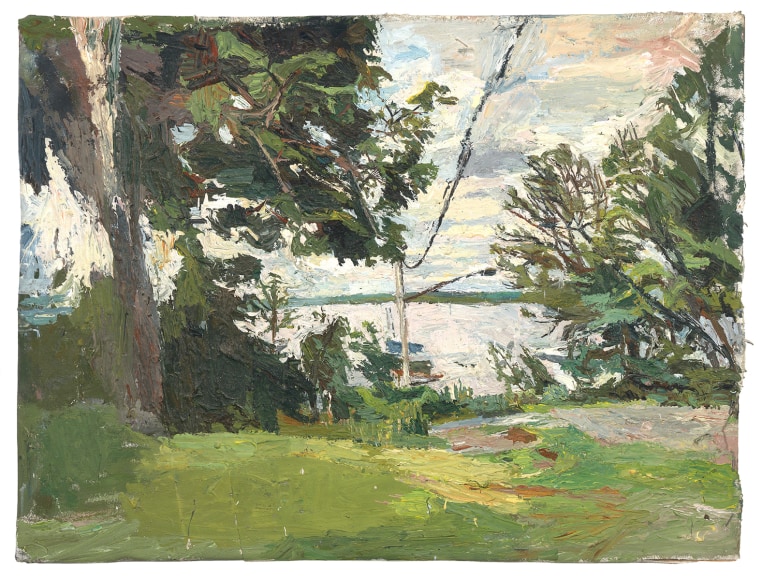 An image of a lake in the background and a green field in the foreground.