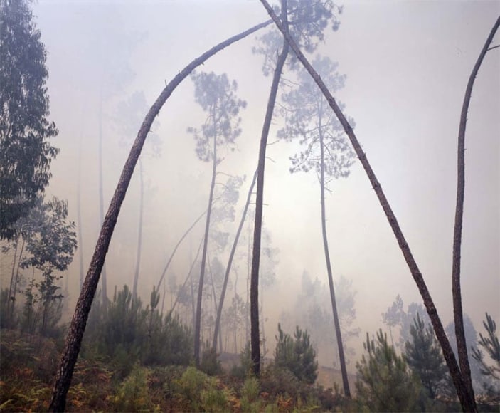 UNTITLED, FROM THE SERIES &#039;DYSTOPIA&#039;, 2005, C-type print