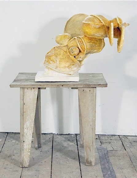 Yellow Mange, 2011, Mixed Media