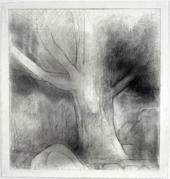 Graphite drawing by Jake Berthot