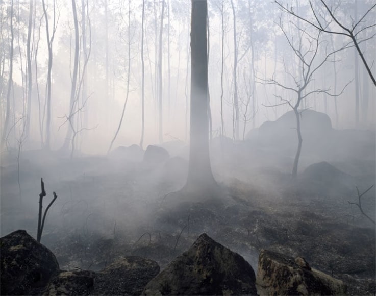 UNTITLED, FROM THE SERIES &#039;DYSTOPIA&#039;, 2005, C-type print