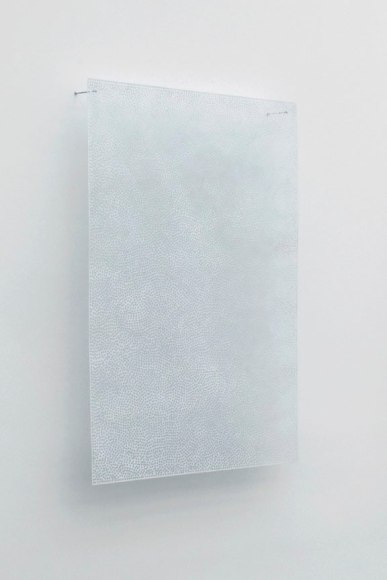 Clytie Alexander, DIAPHAN 38, WHITE/WHITE, 2008