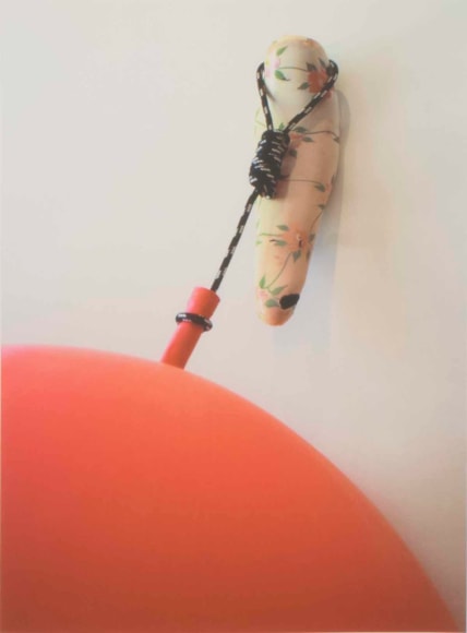 Image of Roped 1, 2013