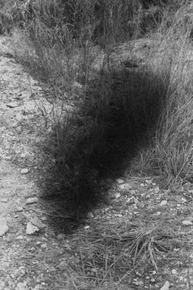 Hamann - Haufen (mound)