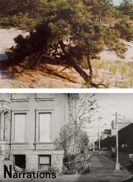 Peter Hutchinson  Man&rsquo;s Condition, 1976  27 parts 1 part (text) framed 32 x 40 cm 26 parts (photos) framed as 13 Diptychs each frame 105 x 80&nbsp; packed in a specially made wooden crate for storage and transport, 130 x 97 x 67 cm