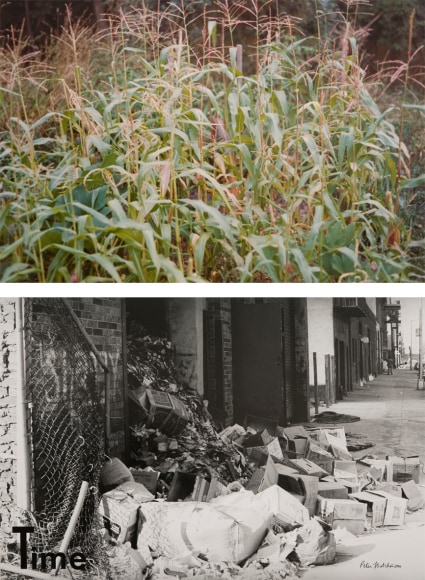 Peter Hutchinson  Man&rsquo;s Condition, 1976  27 parts 1 part (text) framed 32 x 40 cm 26 parts (photos) framed as 13 Diptychs each frame 105 x 80&nbsp; packed in a specially made wooden crate for storage and transport, 130 x 97 x 67 cm