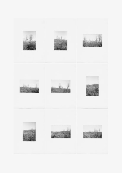 Hamann - l&auml;ufer 7