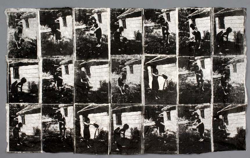 Erin Woodbrey  Backyard, 2008  Gum transfer on handmade paper  86.4 x 147.3 cm / 34 x 58 in  Framed: 95 x 156 cm / 37.5 x 61.5 in