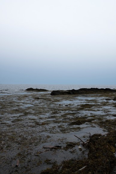 Barry Stone  Mid Tide_DSF1416, Bailey Island Maine, 2017  Archival Inkjet Print  48.26 x 33.02 cm / 19 x 13 in Edition of 3 + 1 AP