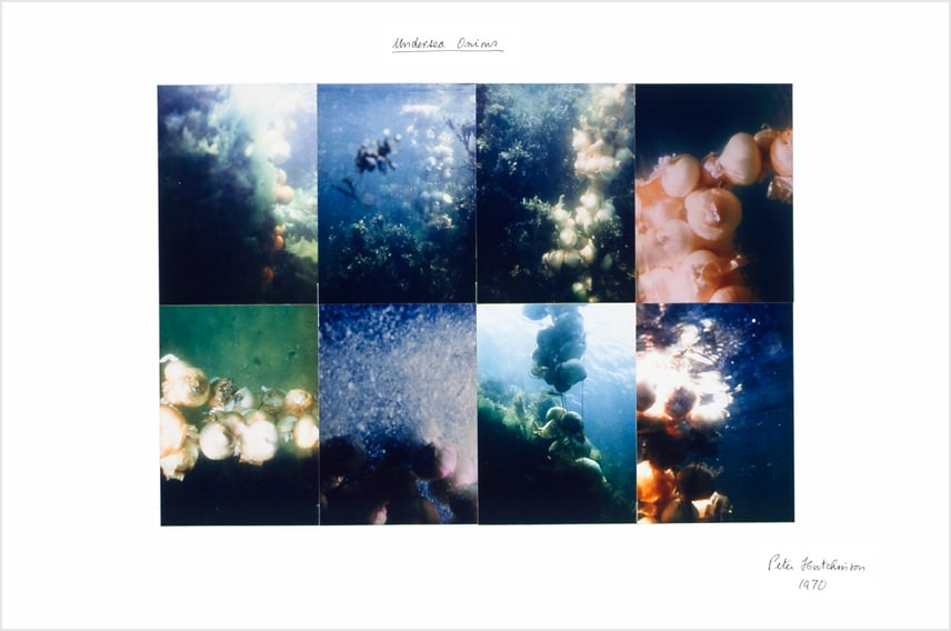 Peter Hutchinson  Undersea Onions, 1970  Photo collage and felt tip pen on cardboard  50 x 75 cm / 20 x 29.5 in  Framed: 50 x 75 cm / 19 2/3 x 29 1/2 in