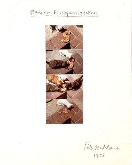 Hutchinson - Study for Disappearing Letters