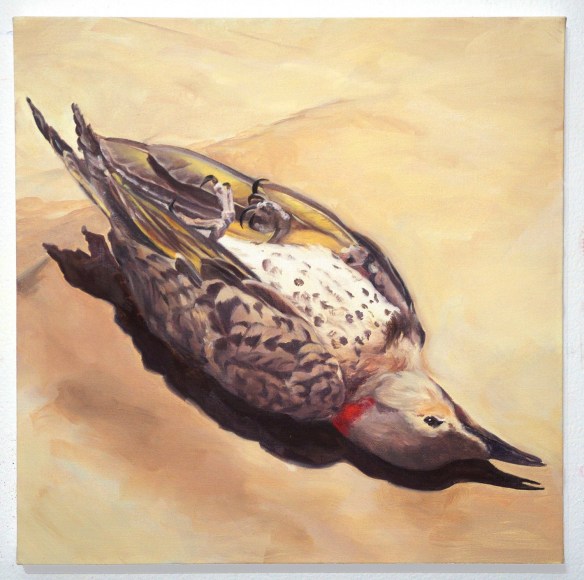 Kurz - It Never Happened