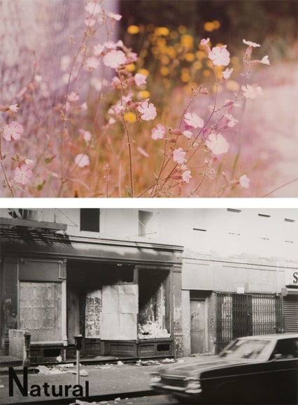 Peter Hutchinson  Man&rsquo;s Condition, 1976  27 parts 1 part (text) framed 32 x 40 cm 26 parts (photos) framed as 13 Diptychs each frame 105 x 80&nbsp; packed in a specially made wooden crate for storage and transport, 130 x 97 x 67 cm