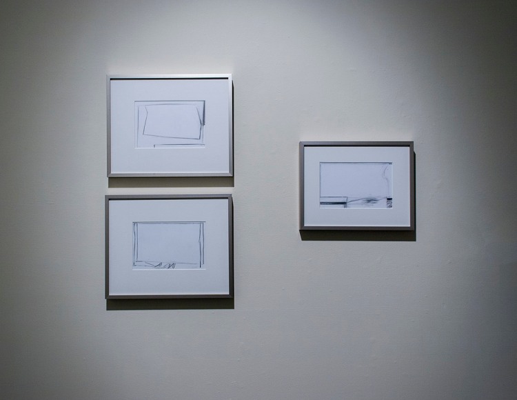 Michael Dailey at Laura Russo Gallery May 2013