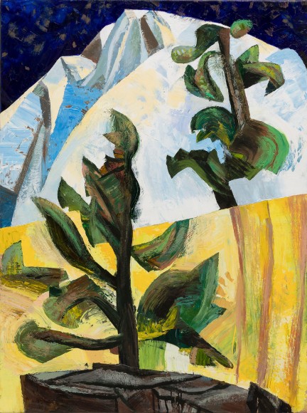 Parker - Two Trees Submontane