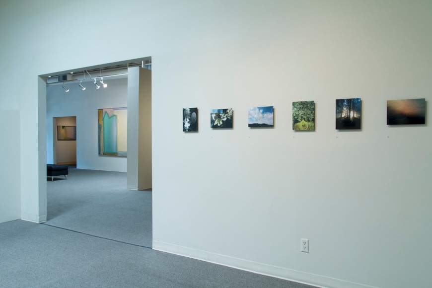 Dana Lynn Louis at Laura Russo Gallery May 2015