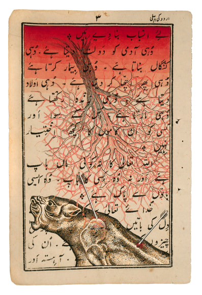 Stotik - tiger with arrows