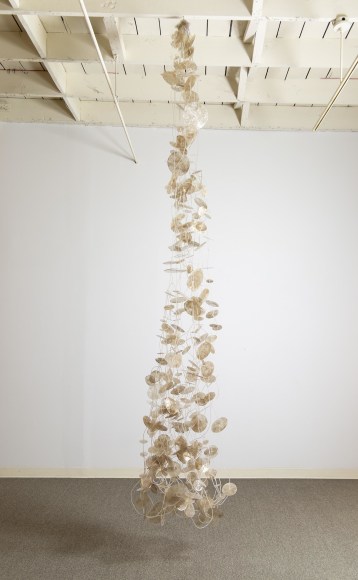 Louis- Constallation