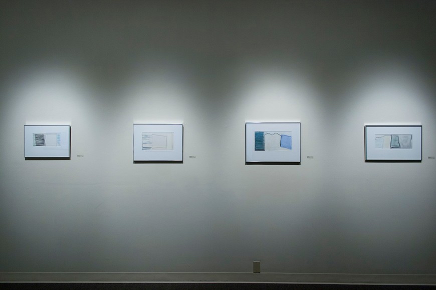 Michael Dailey at Laura Russo Gallery May 2013