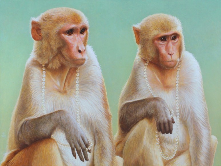 Stephen O'Donnell  Chat, 2023