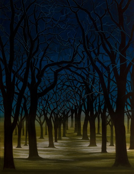 Stotik - rows of trees