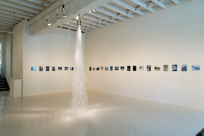 Dana Lynn Louis at Laura Russo Gallery May 2015