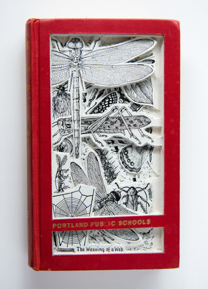 Allen - The Weaving of a Web FRONT