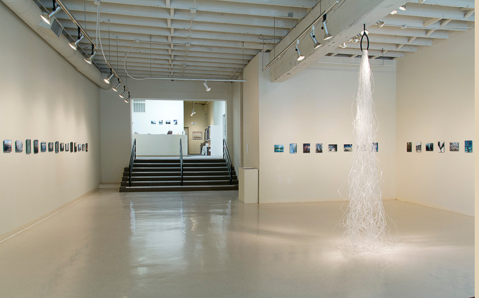 Dana Lynn Louis at Laura Russo Gallery May 2015