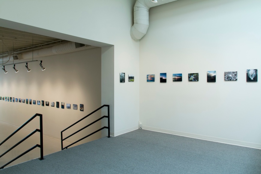 Dana Lynn Louis at Laura Russo Gallery May 2015