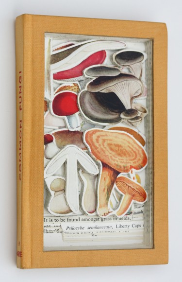 James Allen  Common Fungi, 2020  book excavation