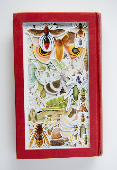 Allen - The Weaving of a Web BACK