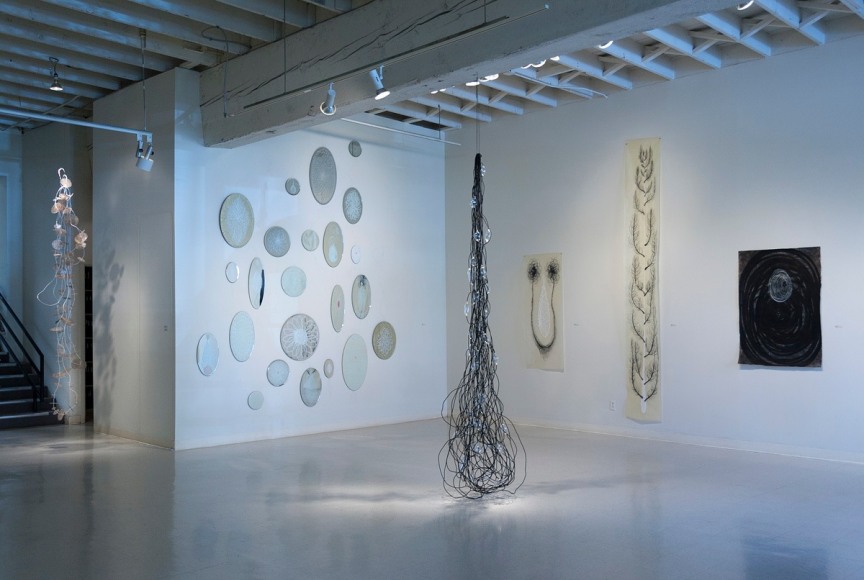 Dana Lynn Louis at Laura Russo Gallery July 2013