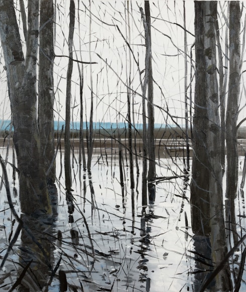 Brophy - Overflow Lake I