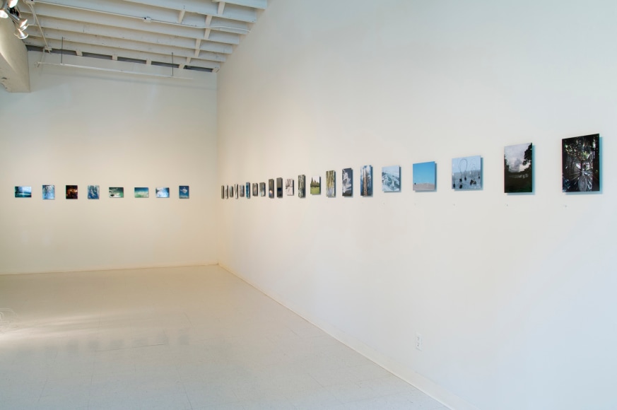 Dana Lynn Louis at Laura Russo Gallery May 2015
