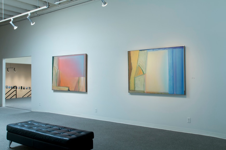 Michael Dailey at Laura Russo Gallery May 2015