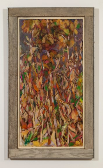 McCosh - Corn and Sunflowers