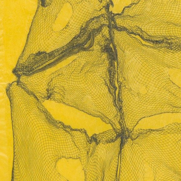 Migration Studies (No. 19, Janie&rsquo;s first dream II; After Zora Neale Hurston) DETAIL