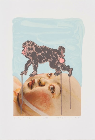 Takamori - walking monkey