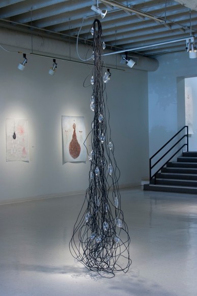 Dana Lynn Louis at Laura Russo Gallery July 2013