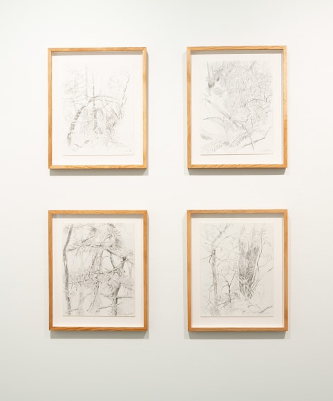 Chris Russell - Ramble - May 2019 - Installation view 012