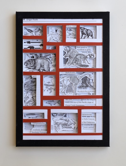 James Allen  Oregon Fossils, 2021