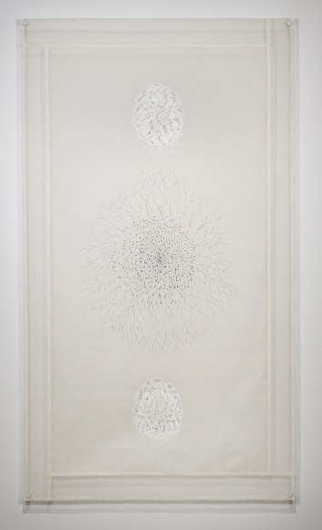 Dana Lynn Louis - Compass