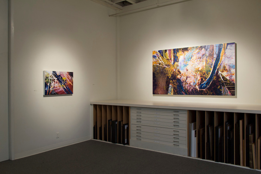 New Views group show at Laura Russo Gallery June 2013